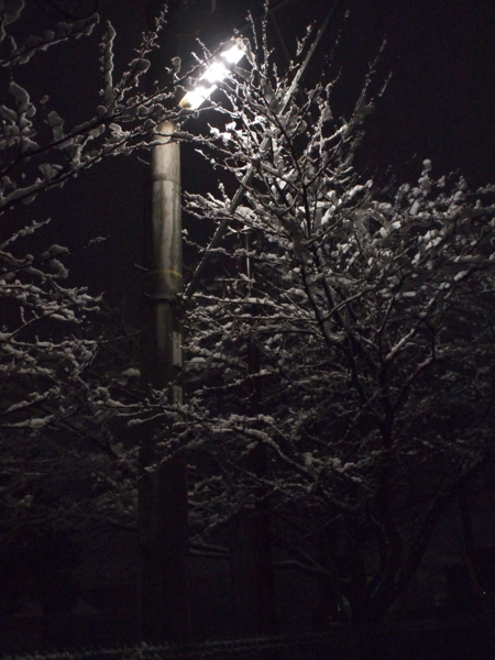 f:id:prime503:20110214205511j:image