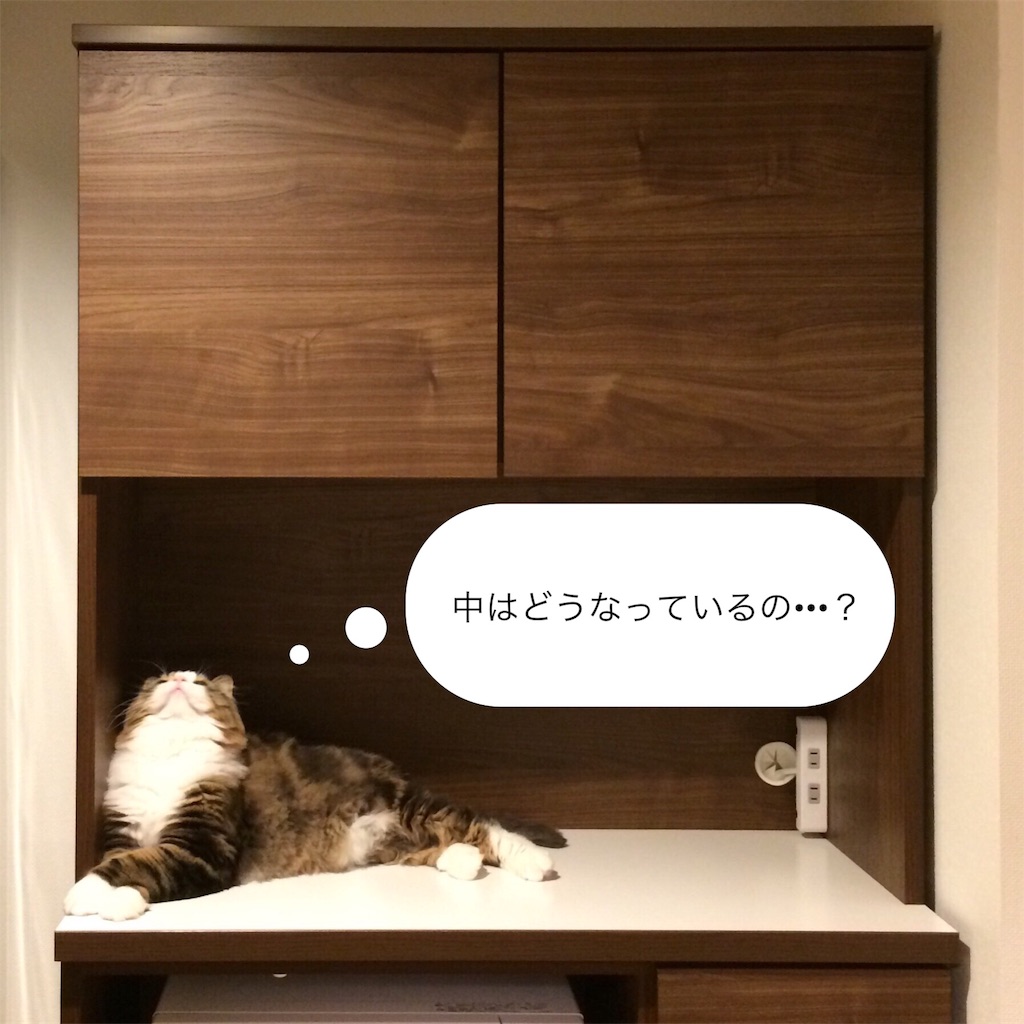 f:id:primo24:20180410142303j:image f:id:primo24:20180410142303j:image