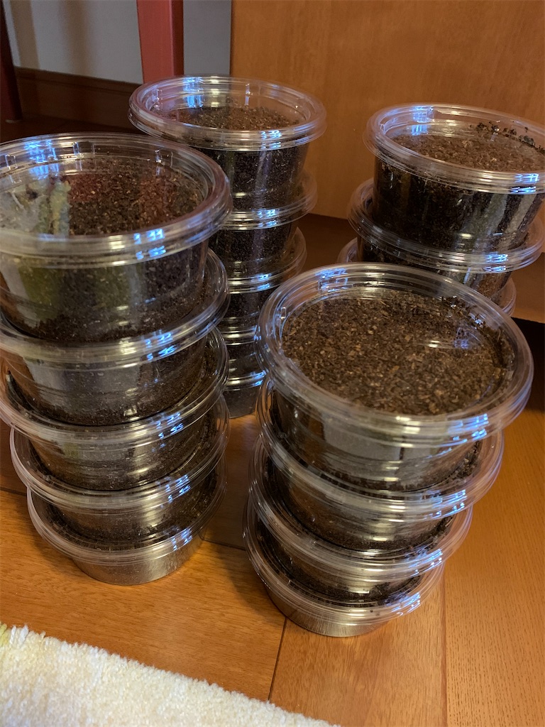 f:id:prin_pu:20210926194410j:image