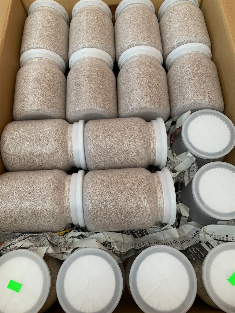 f:id:prin_pu:20211017194635j:image