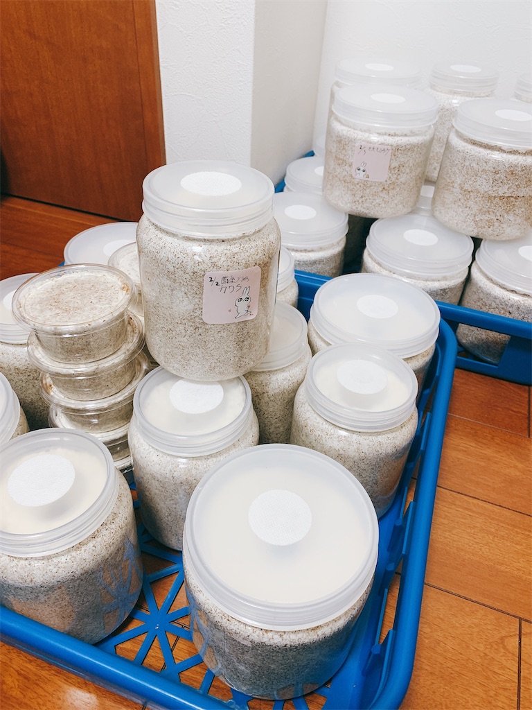 f:id:prin_pu:20211017195316j:image