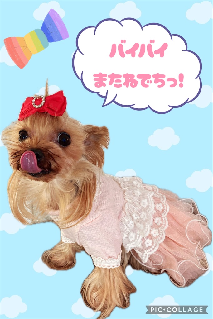 f:id:princess-v:20251128095711j:image
