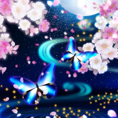 f:id:princessmisa:20190114172705j:plain