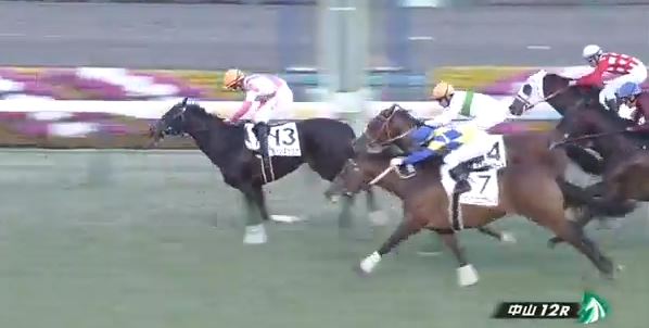 f:id:princessmisa:20190114173202j:plain