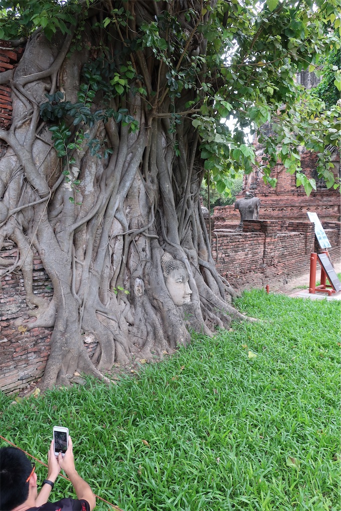 f:id:prings:20190506083614j:image