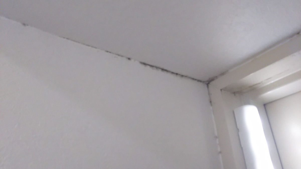 f:id:prinkuma:20190528000110j:plain f:id:prinkuma:20190528000110j:plain