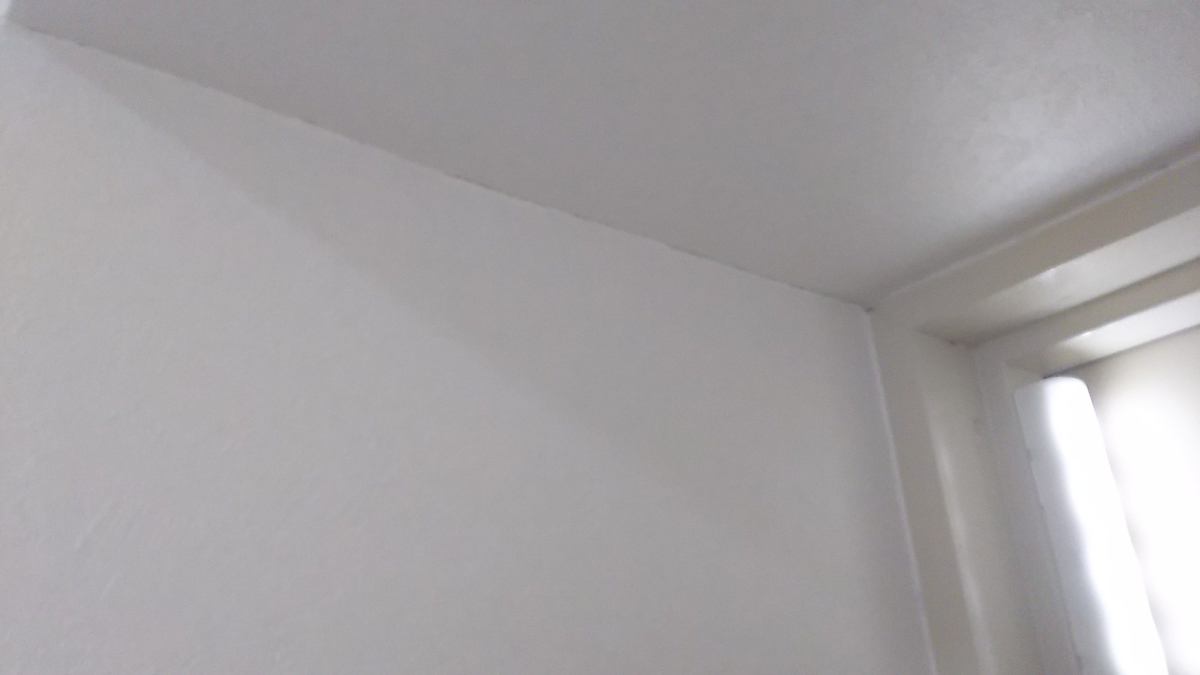 f:id:prinkuma:20190528000140j:plain f:id:prinkuma:20190528000140j:plain