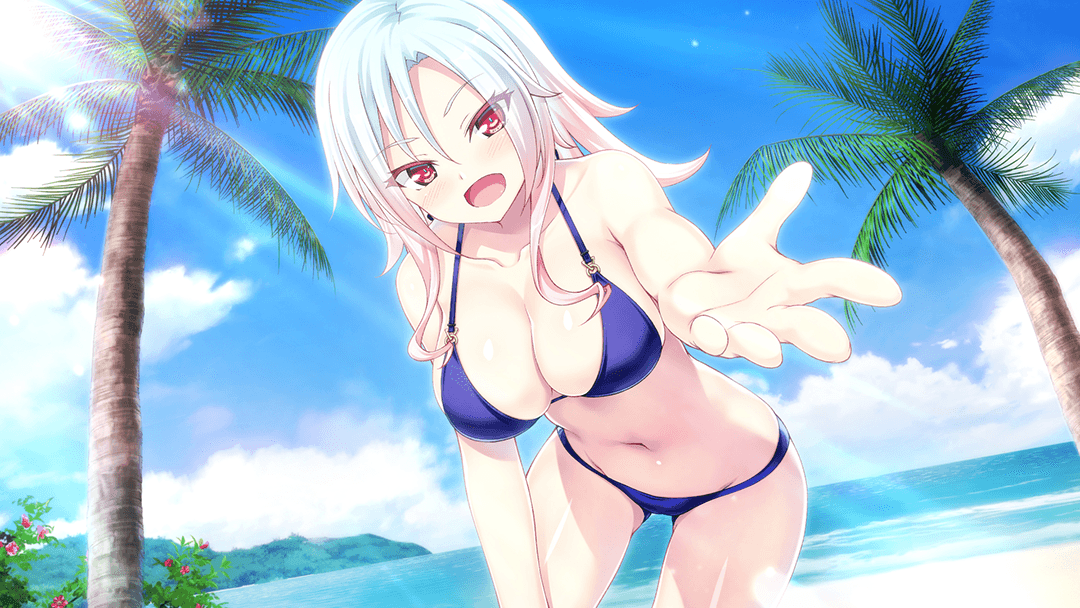 f:id:prinnynm:20210616041635p:plain