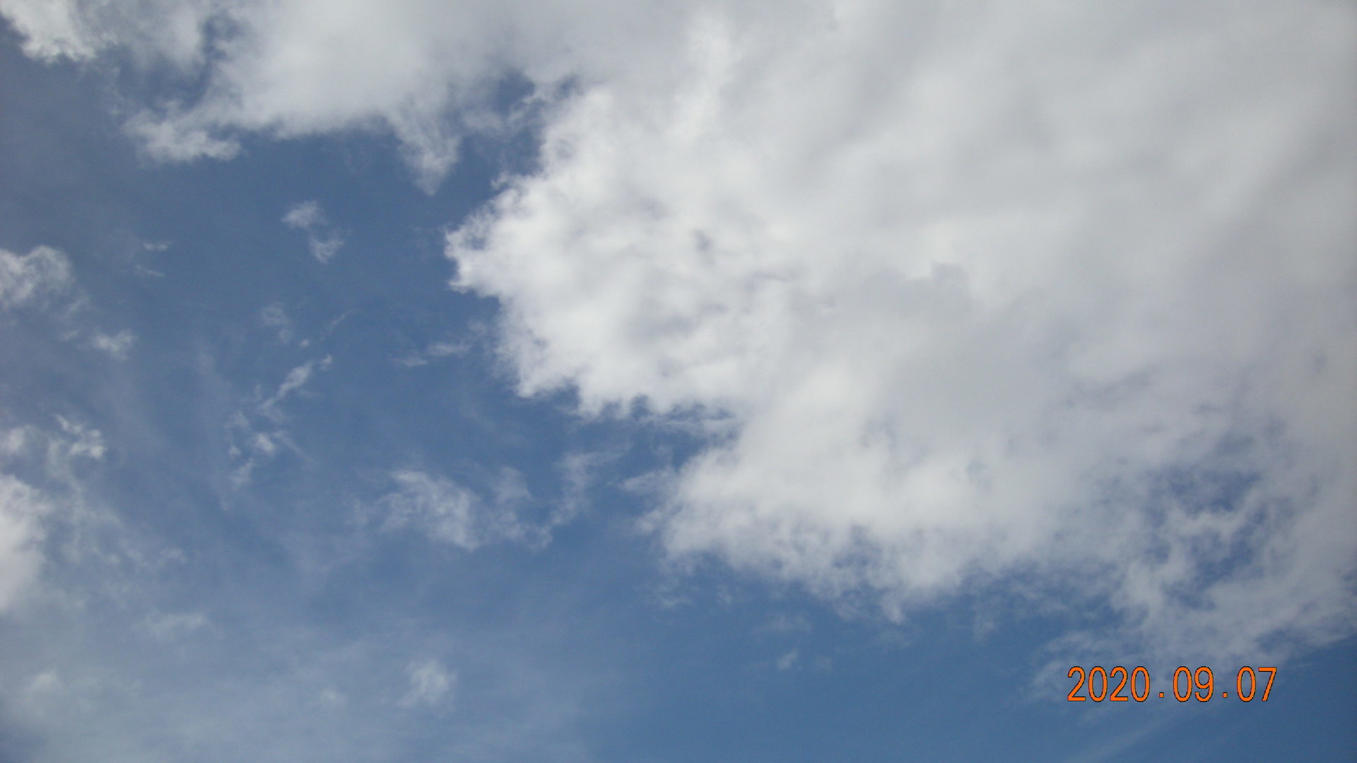 f:id:printftan:20200907175637j:plain 2020-09-07(mon)