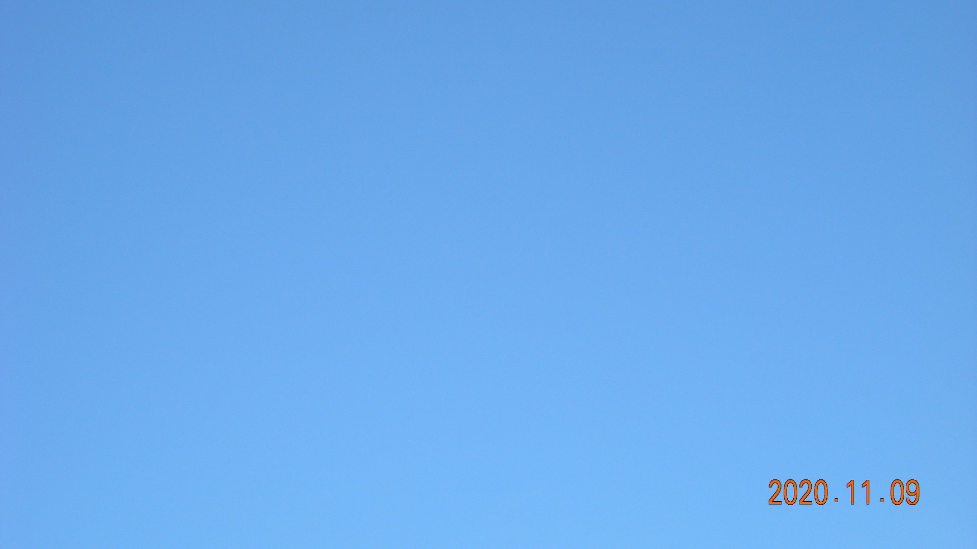 f:id:printftan:20201109131851j:plain アイスコーヒー日和