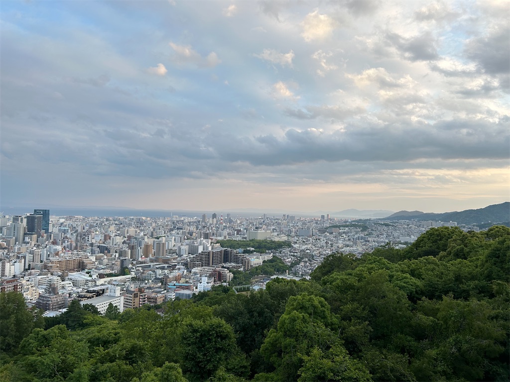 f:id:pripoco:20250531231223j:image f:id:pripoco:20250531231223j:image
