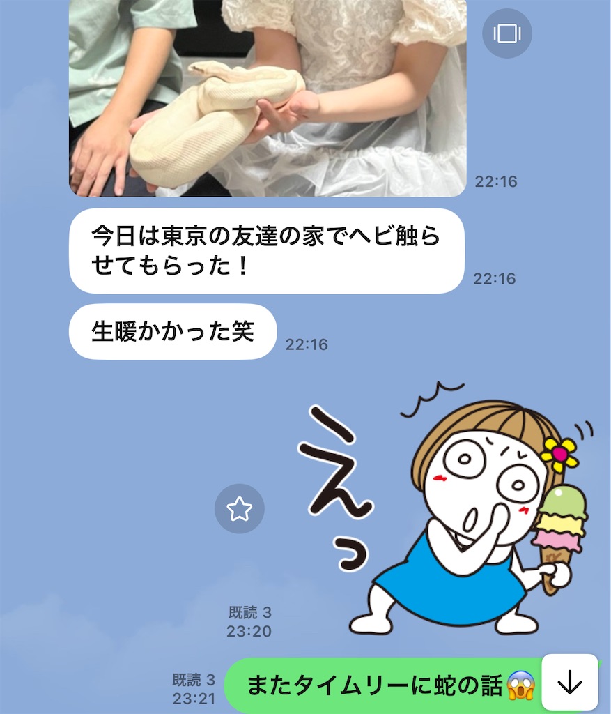 f:id:pripoco:20250728220010j:image