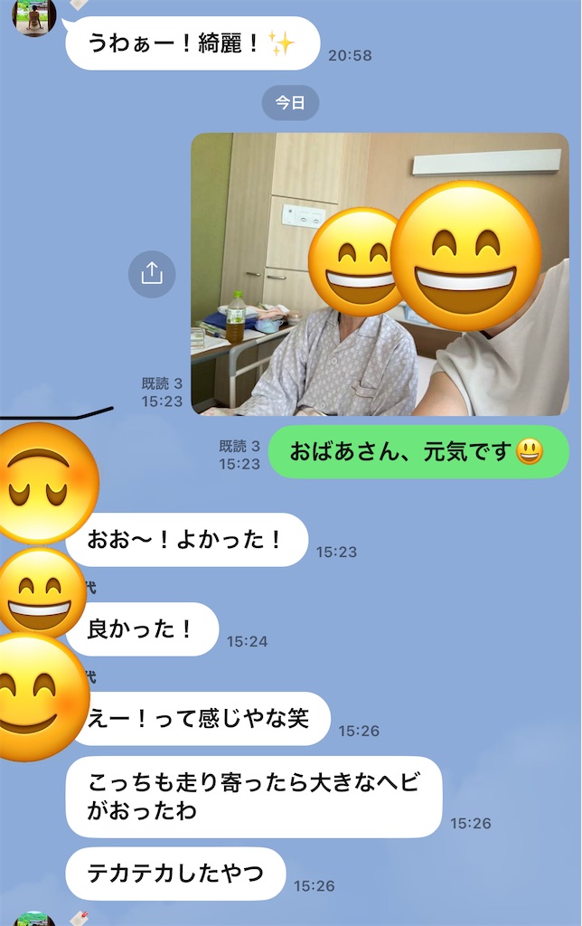 f:id:pripoco:20250728220649j:image