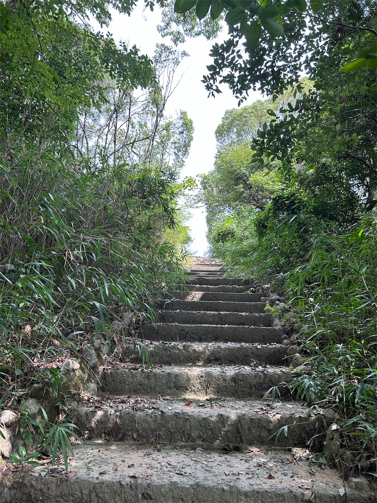 f:id:pripoco:20250903132451j:image