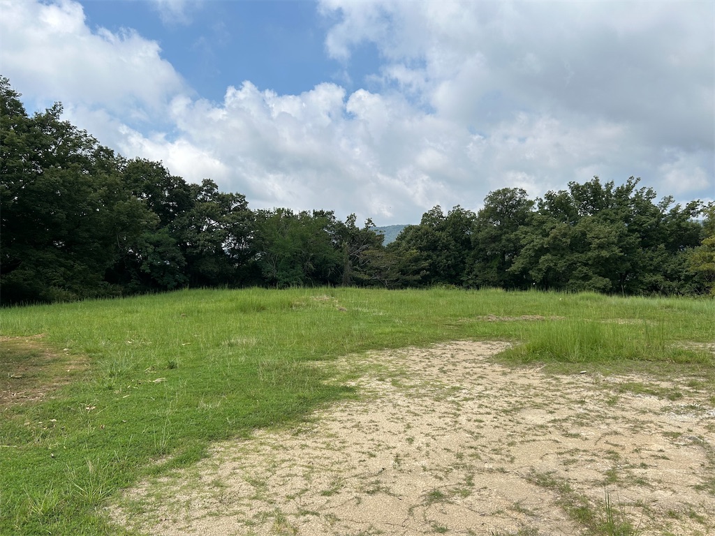 f:id:pripoco:20250903132502j:image