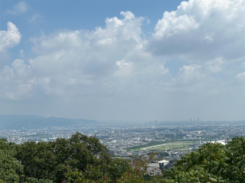 f:id:pripoco:20250913234222j:image