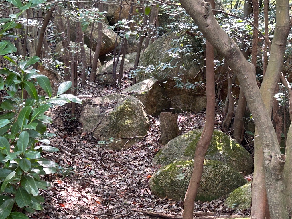 f:id:pripoco:20250915195806j:image
