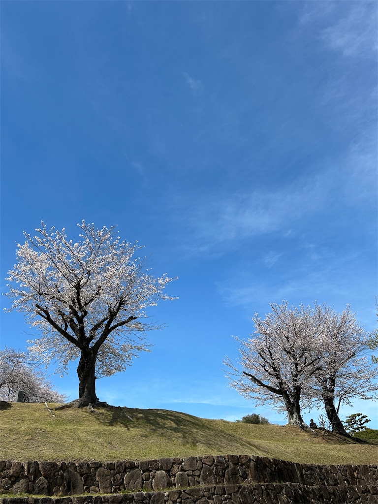 f:id:pripoco:20260408071536j:image