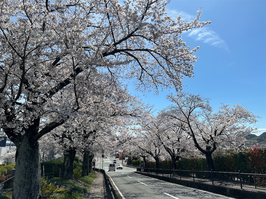 f:id:pripoco:20260408071540j:image