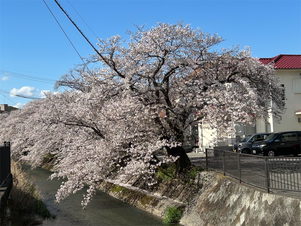 f:id:pripoco:20260412140108j:image