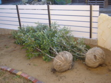 f:id:pritycham:20091202081934j:image f:id:pritycham:20091202081934j:image