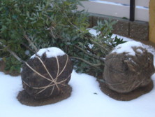 f:id:pritycham:20091218072053j:image f:id:pritycham:20091218072053j:image