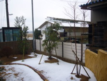 f:id:pritycham:20100102150653j:image f:id:pritycham:20100102150653j:image