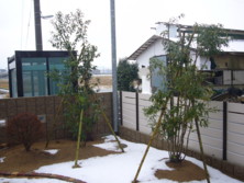 f:id:pritycham:20100102150701j:image f:id:pritycham:20100102150701j:image