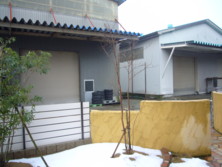 f:id:pritycham:20100102150733j:image f:id:pritycham:20100102150733j:image