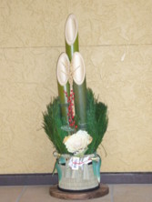 f:id:pritycham:20100102150819j:image f:id:pritycham:20100102150819j:image