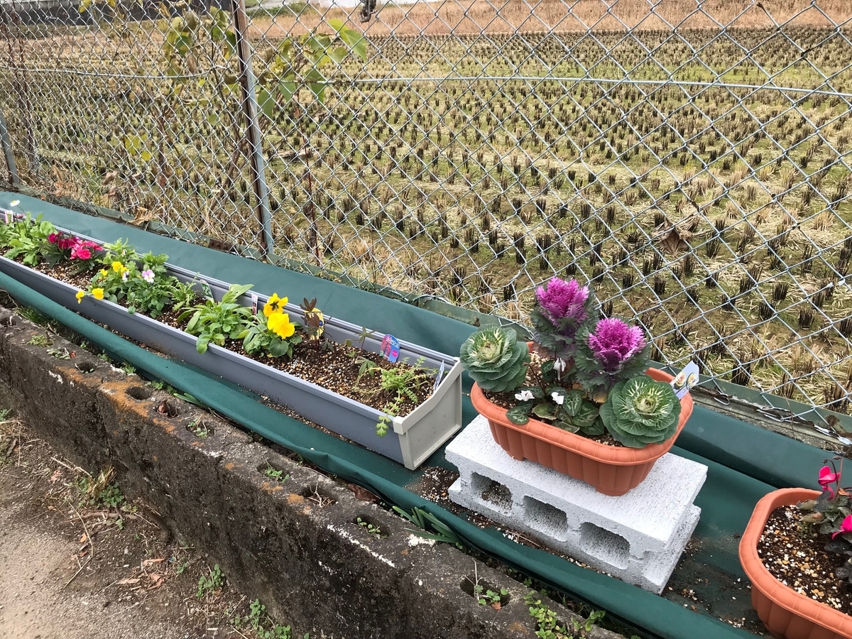 便利情報 雨樋でプランター - プロショップ フクショウgardenの