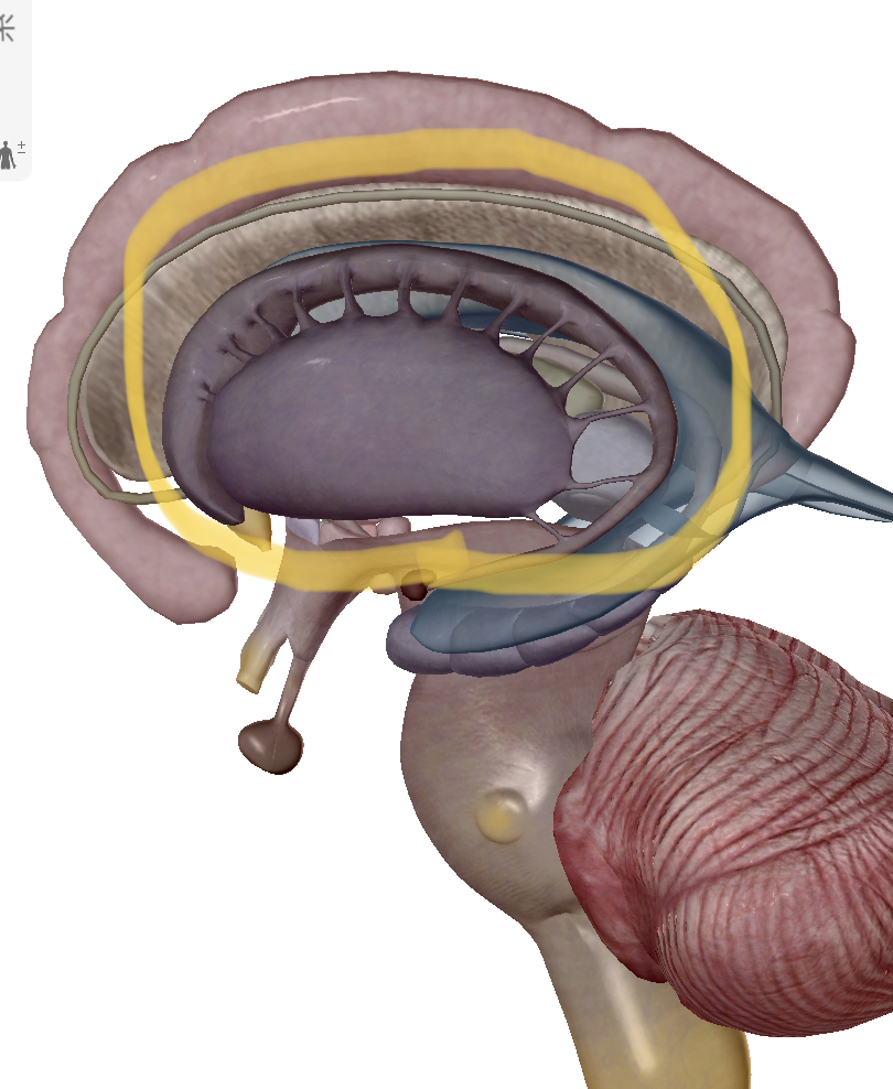 f:id:probrain-logical:20200712234937j:plain f:id:probrain-logical:20200712234937j:plain