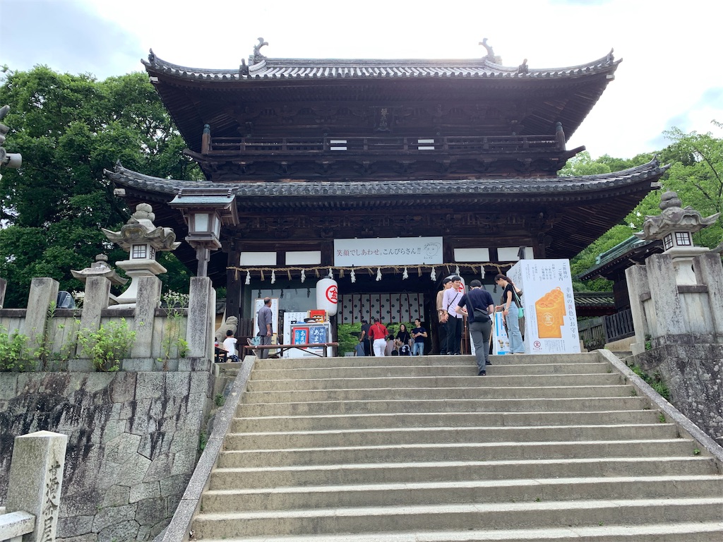 f:id:prodigal04:20190609104519j:image f:id:prodigal04:20190609104519j:image