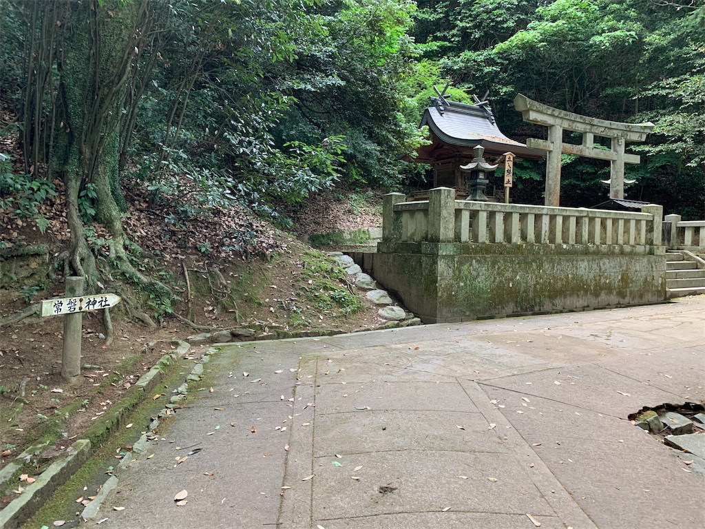 f:id:prodigal04:20190609104521j:image f:id:prodigal04:20190609104521j:image