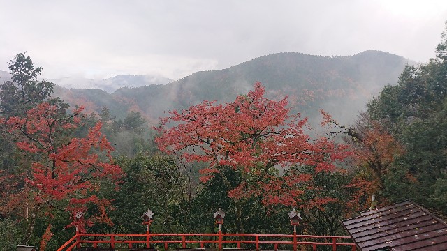 f:id:production910:20191214000342j:image