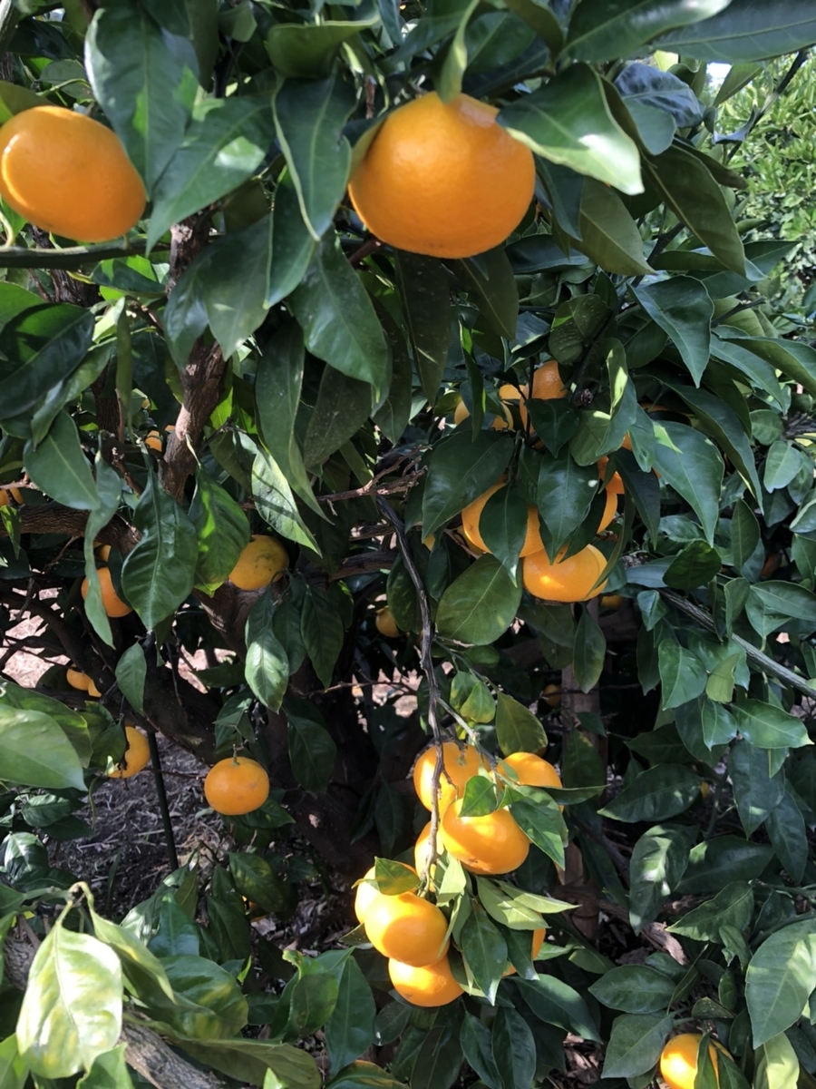 f:id:production910:20191216201758j:plain