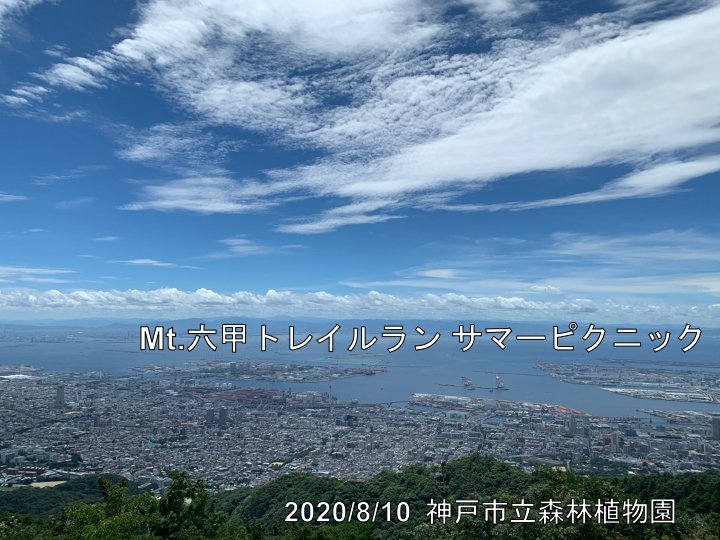 f:id:proffe:20200812210523p:plain