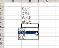 [Excel]　[ALT]+[↓]でリストから入力