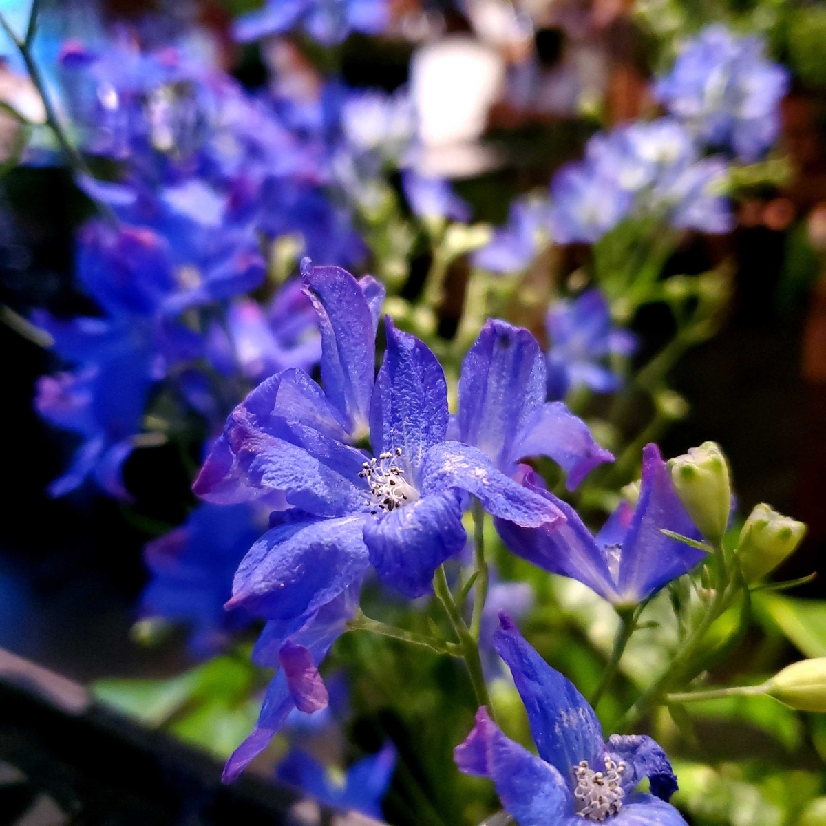 f:id:programmingnuoh:20210719231641j:plain