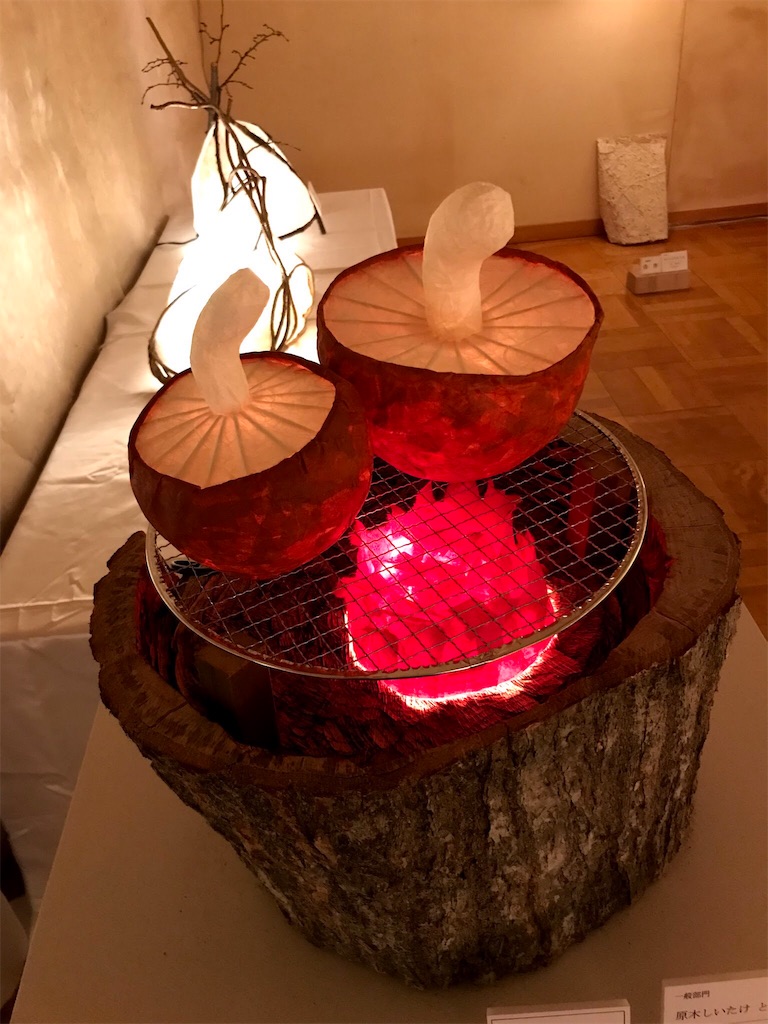 f:id:project-meve:20190129122807j:image