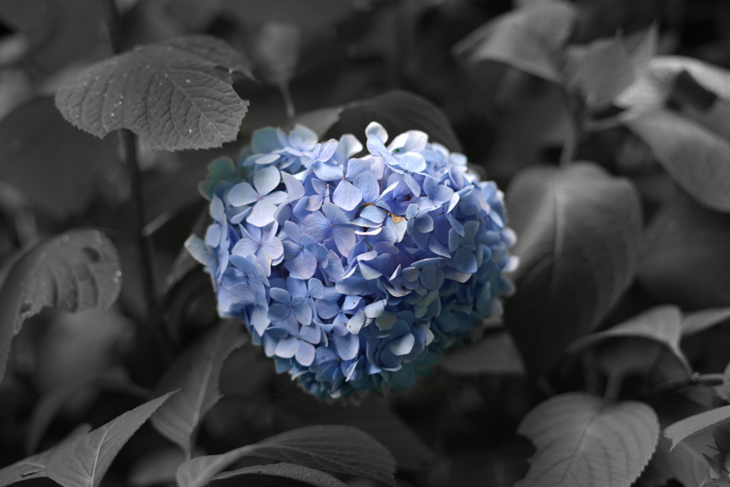 f:id:projectormato:20180626001444j:plain f:id:projectormato:20180626001444j:plain