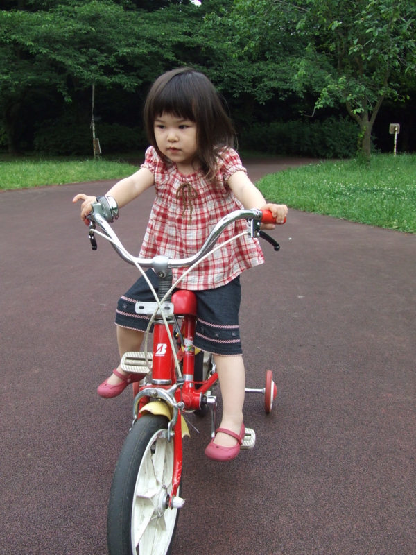 f:id:prokatei92:20090524033756j:plain f:id:prokatei92:20090524033756j:plain