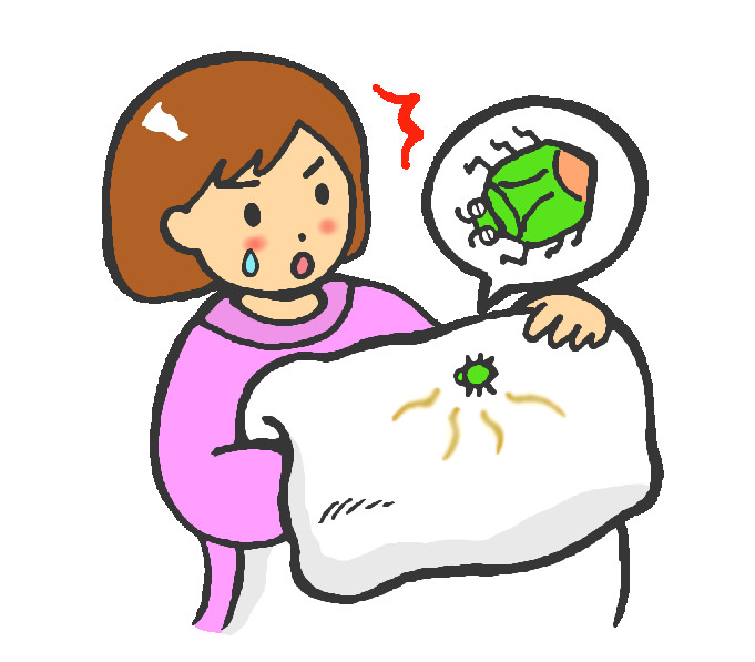 洗濯物のカメムシ対策 カメムシをブロックして寄せ付けない方法 新聞と広告の向こう側