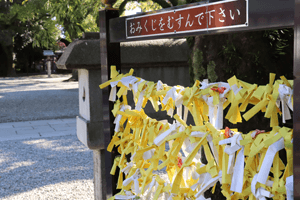 年末詣でおみくじ 真清田神社のおみくじ