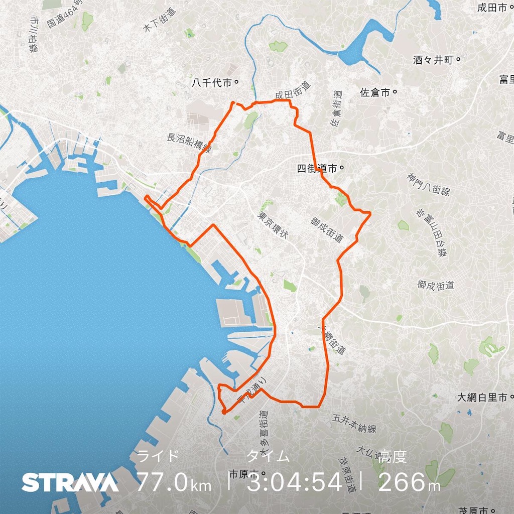 f:id:propel131:20181104173754j:image