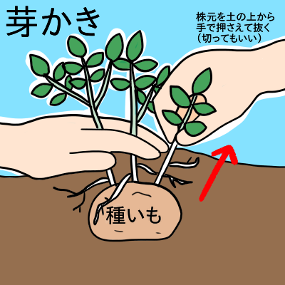f:id:prospective:20190422185046p:plain