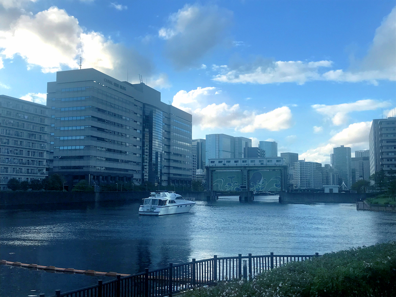 f:id:protenorageha:20180908164428j:image