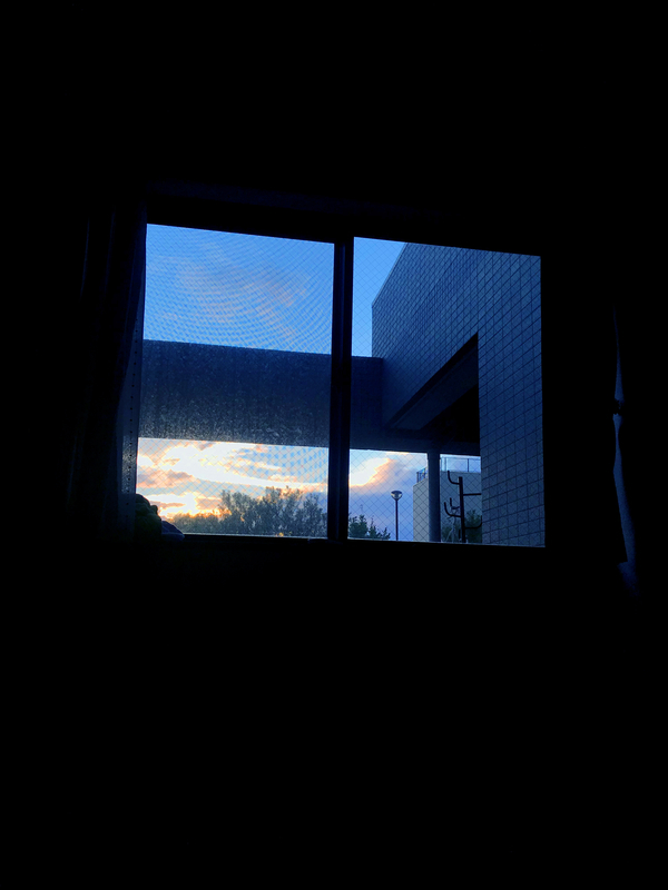 f:id:protenorageha:20181204004950j:image