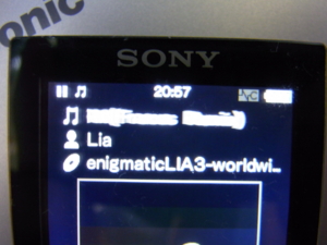 Walkman Nw S754 に限らないかもしれない 不具合の直し方 Higeblog