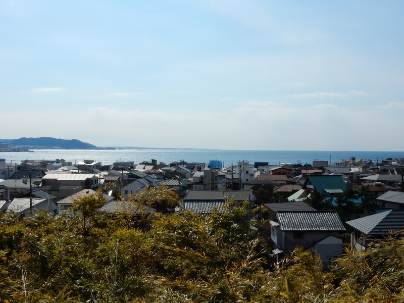 f:id:prunusmume:20211011141444j:plain